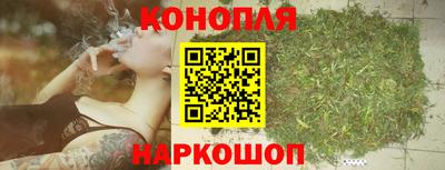 прущие грибы Партизанск