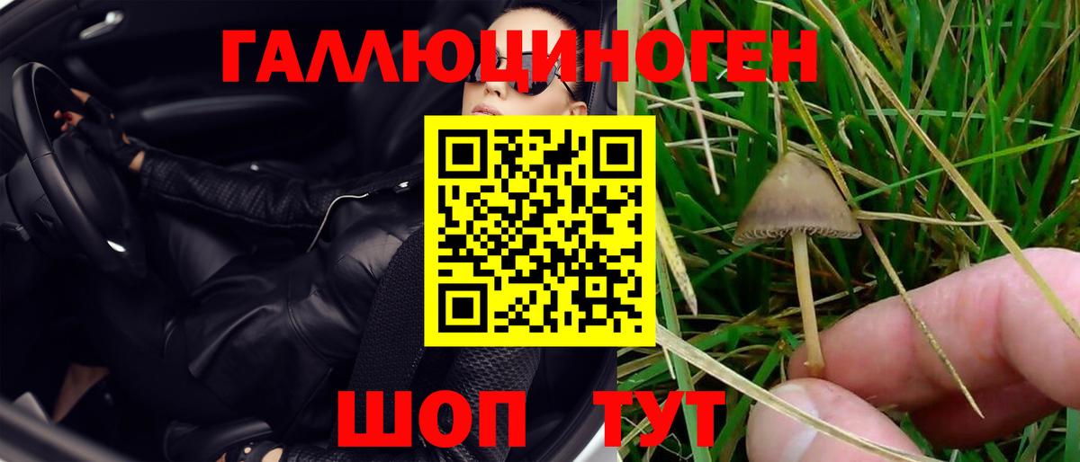 Ростов-на-Дону  Псилоцибиновые грибы Cubensis  Вход с VPN  Галлюциногенные грибы MAGIC MUSHROOMS 